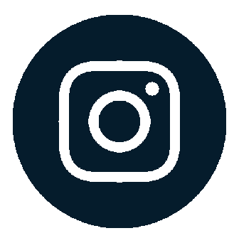 boton de instagram